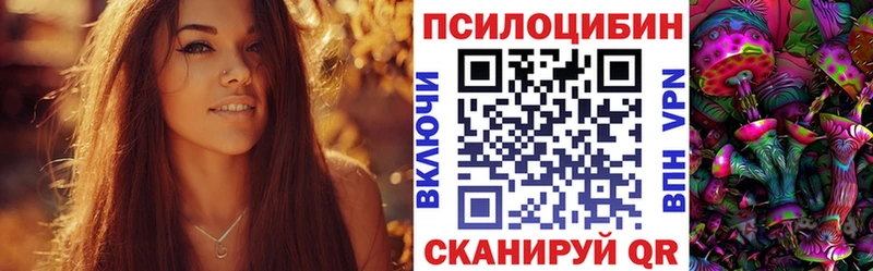 Псилоцибиновые грибы Psilocybine cubensis  даркнет сайт  Каменск-Шахтинский 